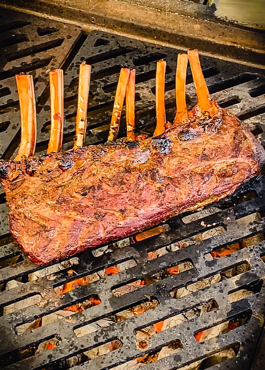 Grilled Rack Of Venison W Blueberry Compote Grillseeker