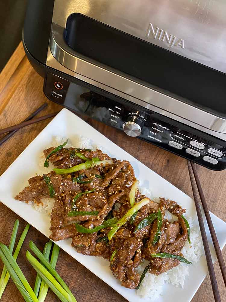 The New Ninja Foodi Indoor Griddle & Air Fryer - Pro XL Grill and