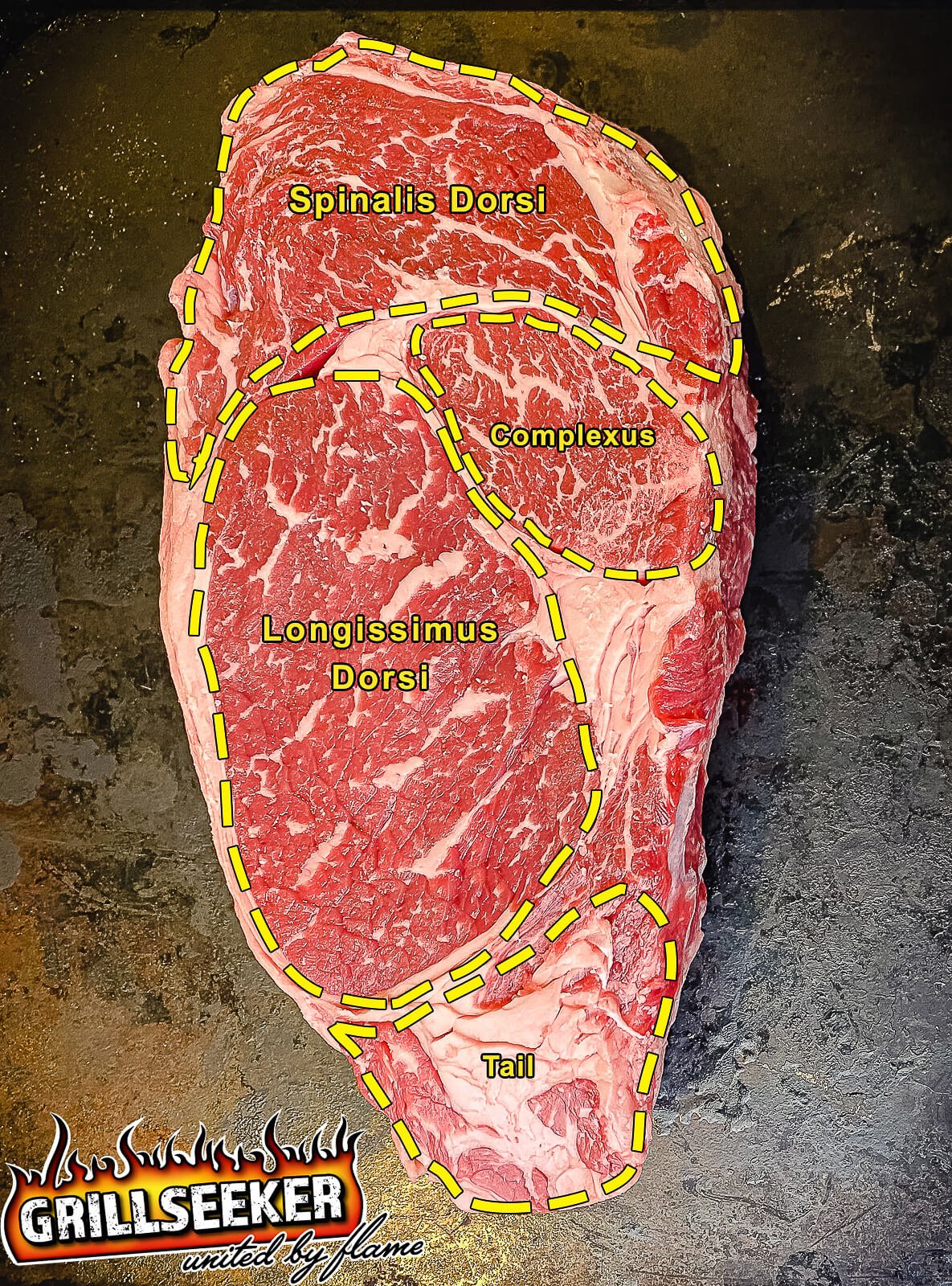 How To Grill The Perfect Ribeye Steak Grillseeker 